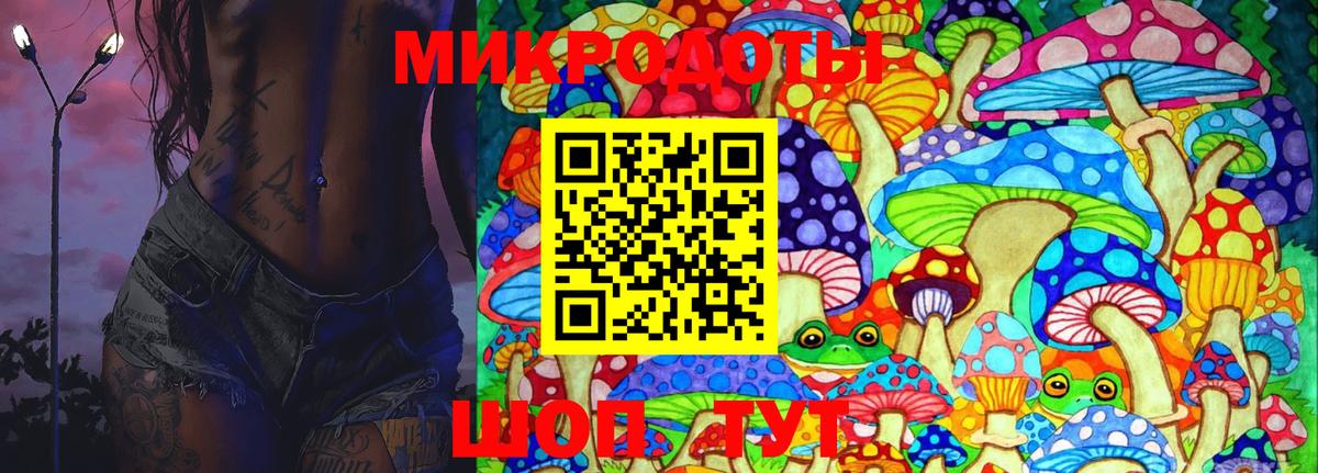 хочу   Галлюциногенные грибы Psilocybine cubensis  Ахтубинск  Вход с VPN  Псилоцибиновые грибы мицелий 